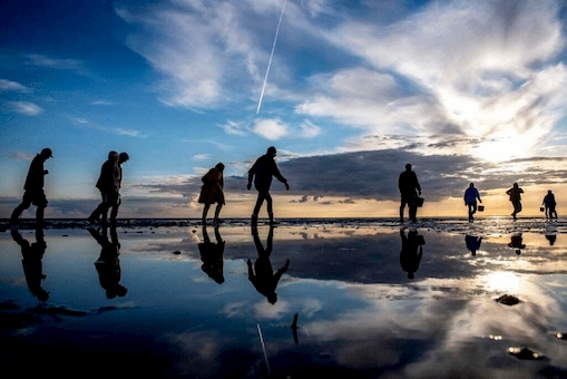 Naturscene: Stjernehimlen over Møn