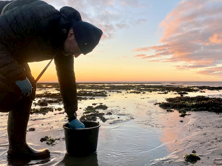 Sortsolens Hemmelighed